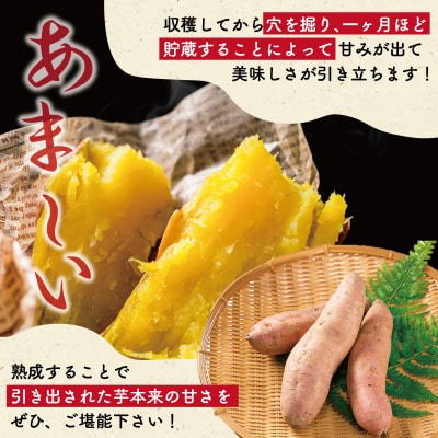 北山さんちのさつまいも 安納芋 7kg