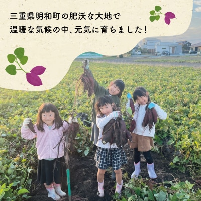 北山さんちのさつまいも 安納芋 7kg