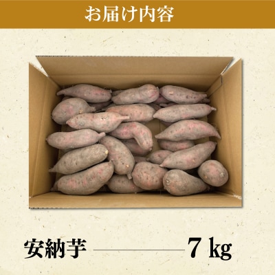 北山さんちのさつまいも 安納芋 7kg