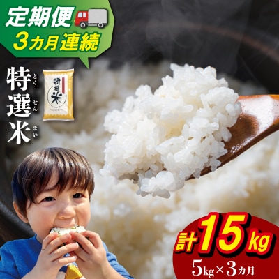 【定期便】(有)松幸農産 特選米5kg×3回 (計15kg)　MK17