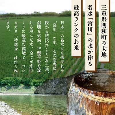 【定期便】(有)松幸農産 特選米5kg×3回 (計15kg)　MK17