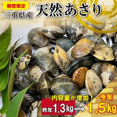 【期間限定】天然あさり　1.5kg | ふるさと納税のお礼品