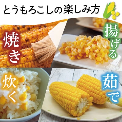 北山さんちの新鮮とうもろこし kn2