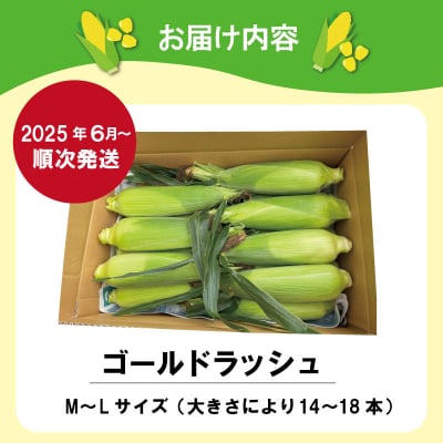 北山さんちの新鮮とうもろこし kn2