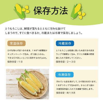 朝採れとうもろこし　スイートコーン　3Lサイズ