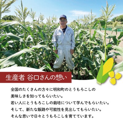 朝採れとうもろこし　スイートコーン　3Lサイズ