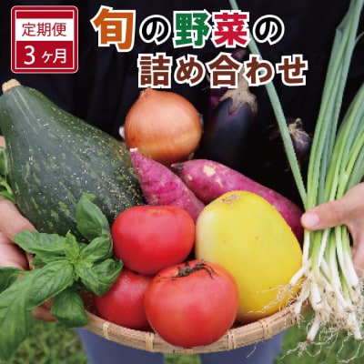 旬の野菜 詰め合わせ 5品以上 連続3か月【定期便】おまかせ セット 産地直送 新鮮 E2358-0