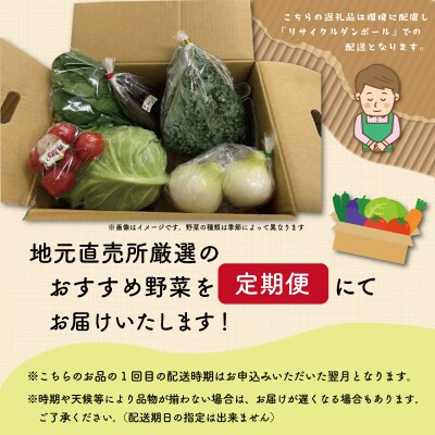 旬の野菜 詰め合わせ 5品以上 連続3か月【定期便】おまかせ セット 産地直送 新鮮 E2358-0
