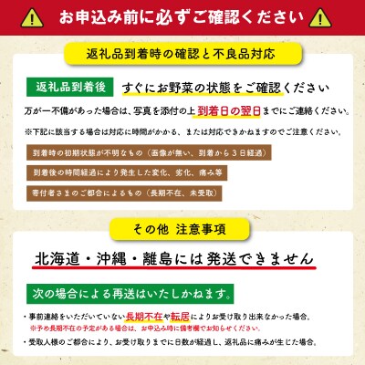 旬の野菜 詰め合わせ 5品以上 連続3か月【定期便】おまかせ セット 産地直送 新鮮 E2358-0