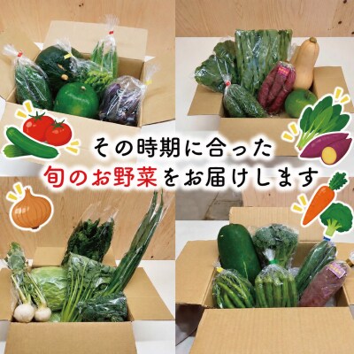 旬の野菜 詰め合わせ 5品以上 連続3か月【定期便】おまかせ セット 産地直送 新鮮 E2358-0