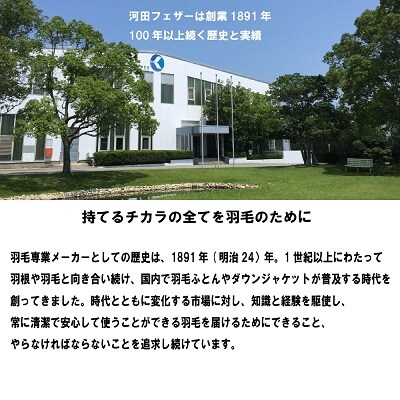 【河田フェザー】 国産 羽根 クッション C-70