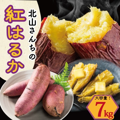 北山さんちのさつまいも 紅はるか 7kg