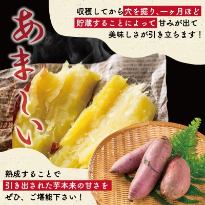 北山さんちのさつまいも 紅はるか 7kg