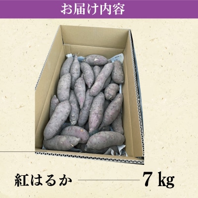 北山さんちのさつまいも 紅はるか 7kg