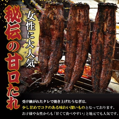 うなぎのかば焼き 2尾入り (タレ4本入り)