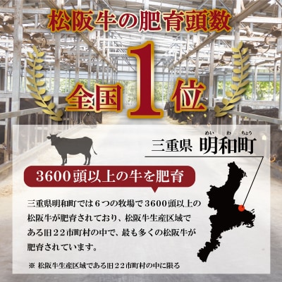 【 柿安 】 松阪牛 焼肉 切り落とし 600g