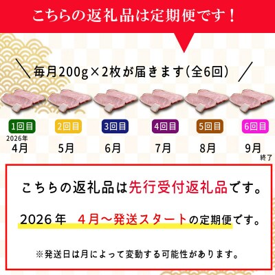 【定期便全6回】 松阪牛 特選 サーロイン ステーキ 約200g×2枚 (400g) SS13