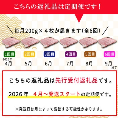 【定期便全6回】 松阪牛 特選 サーロイン ステーキ 約200g×4枚 (800g)  SS15