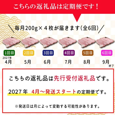 【定期便全6回】 松阪牛 特選 サーロイン ステーキ 約200g×4枚 (800g)  SS48