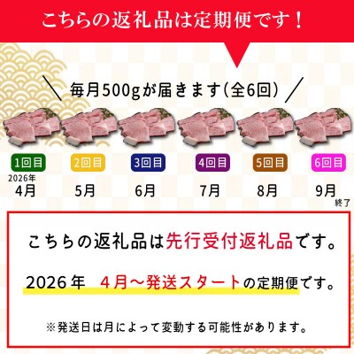 【定期便全6回】 松阪牛 焼肉 (特選ロース) 500g SS16