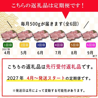 【定期便全6回】 松阪牛 焼肉 (特選ロース) 500g SS49