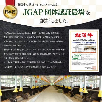 【定期便全6回】 松阪牛 しゃぶしゃぶ (特選ロース) 500g SS51