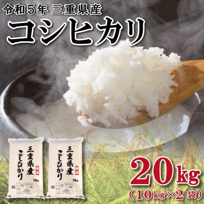 令和5年度 新潟県産コシヒカリ 玄米 20kg - 米
