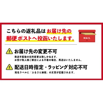 御糸織り ( 松阪もめん ) ランチョンマット 2枚セット
