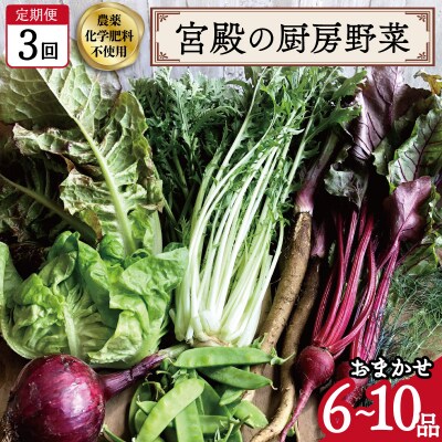 宮殿の厨房野菜 おまかせ 定期便 (3回) 六月農園