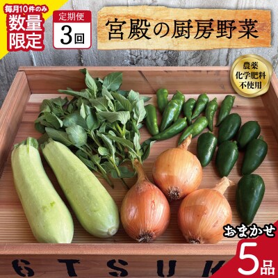 宮殿の厨房野菜おまかせ5品　定期便3回