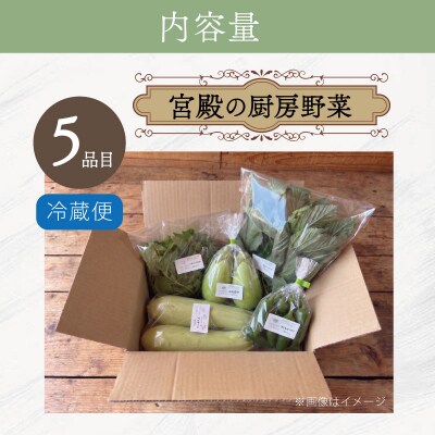 宮殿の厨房野菜おまかせ5品　定期便3回