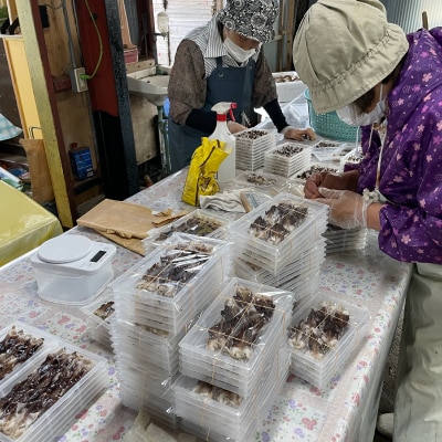 【期間限定】とりがいのひらき 旬 おすすめ 大サイズ