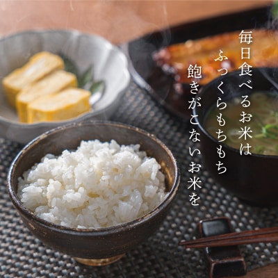 三重県産 山本農産のお米(コシヒカリ)の定期便 10kg×6回  4月スタート yn4