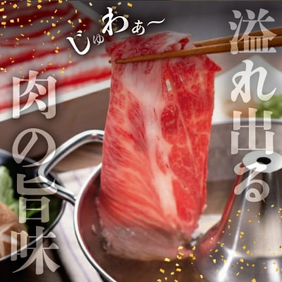 松阪牛 しゃぶしゃぶ ( 特選 ロース ) 500g　F3