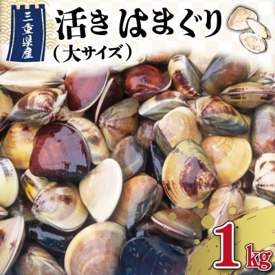 三重県産 活きはまぐり 大サイズ 1kg 【しもい水産】sm3