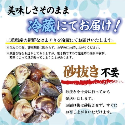 三重県産 活きはまぐり 大サイズ 1kg 【しもい水産】sm3