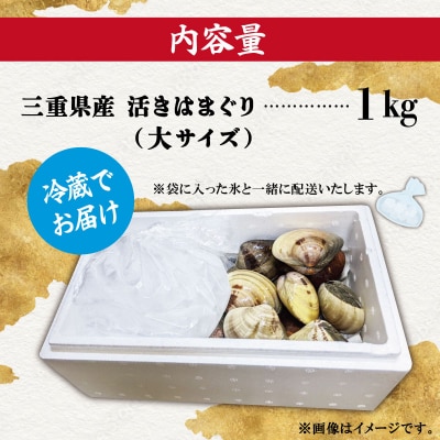 三重県産 活きはまぐり 大サイズ 1kg 【しもい水産】sm3