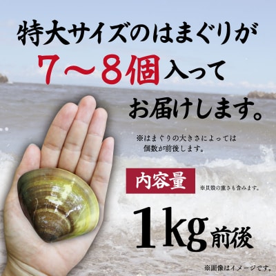 三重県産 活きはまぐり 特大サイズ 1kg 【しもい水産】 sm2