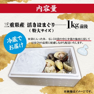 三重県産 活きはまぐり 特大サイズ 1kg 【しもい水産】 sm2