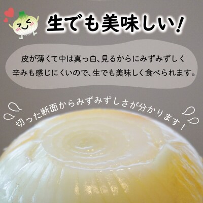 北山さんちの新たまねぎ 6kg　kn1