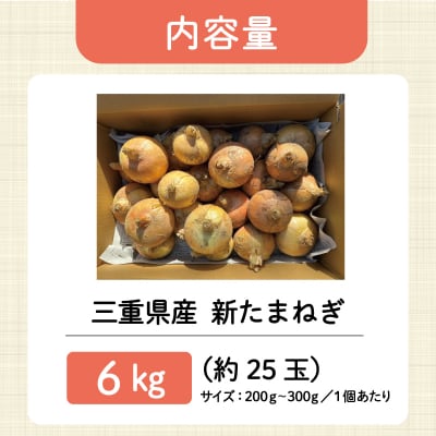 北山さんちの新たまねぎ 6kg　kn1