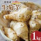 生 菊芋 1kg