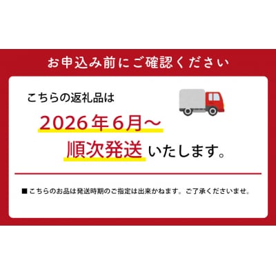 【2026年6月より順次発送】松阪牛 サーロインステーキ  200g×2枚 SS35