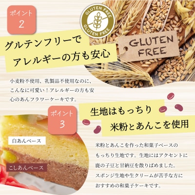 【Patisserie hanaemu】あん フラワー ケーキ ( ホール ) he1