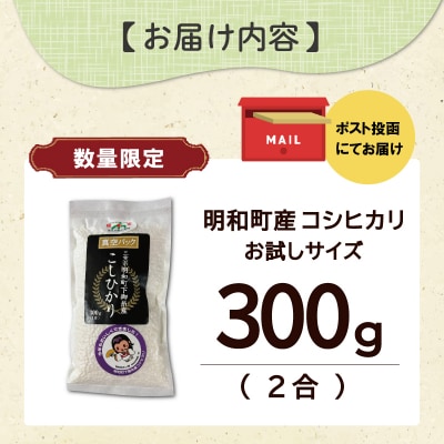 お試しサイズ 三重県産 山本農産のお米(コシヒカリ) 300g