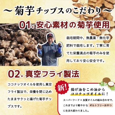 菊芋 チップス 2袋セット