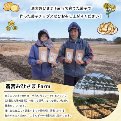 菊芋 チップス 2袋セット