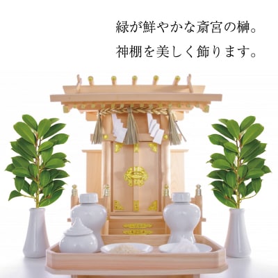 神棚用 榊 1対 (2束) 約25cm 神棚 さかき お供え