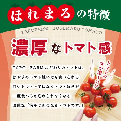 完熟 トマト ほれまる 500g と パウンドケーキ の セット