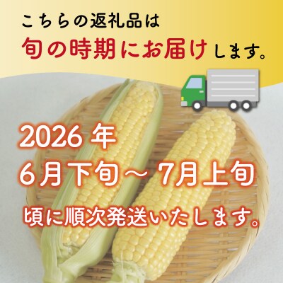 明和町産 朝採れとうもろこし ゴールドラッシュ 10本～12本 きたむら